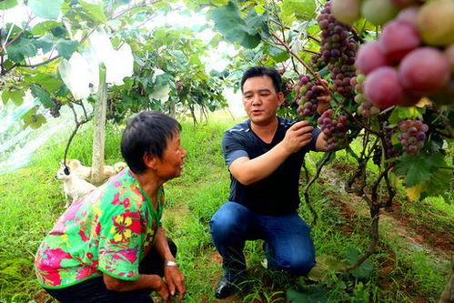 方山吃瓜最新事件爆料,最新爆料揭露惊人内幕